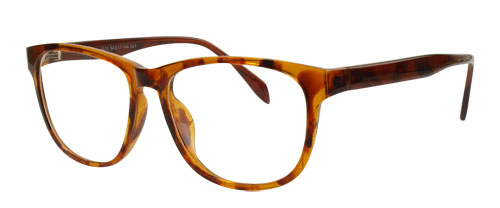 Prescription Eyeglasses